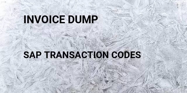 Invoice dump Tcode in SAP