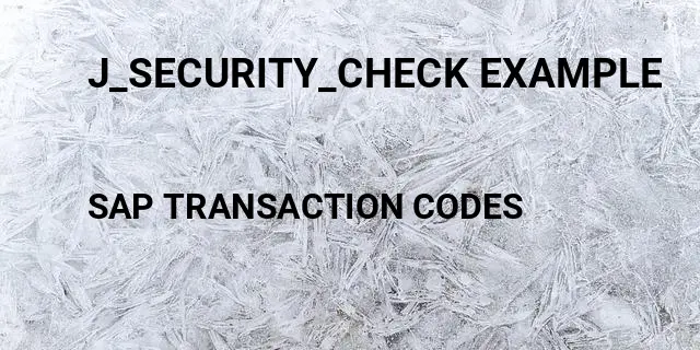 J_security_check example Tcode in SAP
