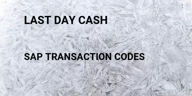 Last day cash Tcode in SAP