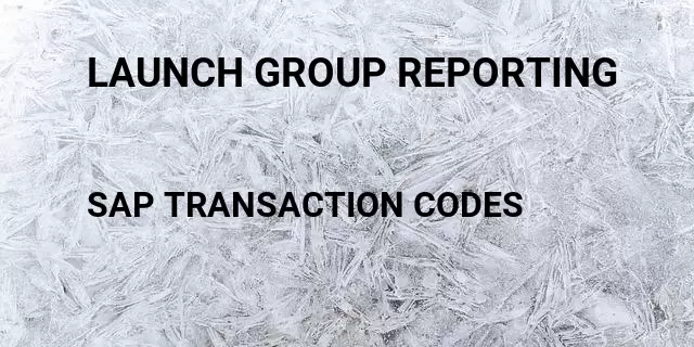 Launch group reporting Tcode in SAP