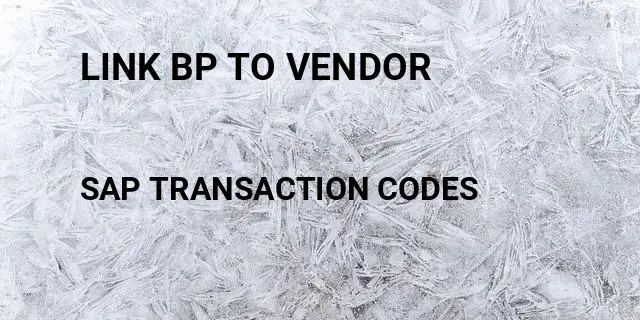 Link bp to vendor Tcode in SAP