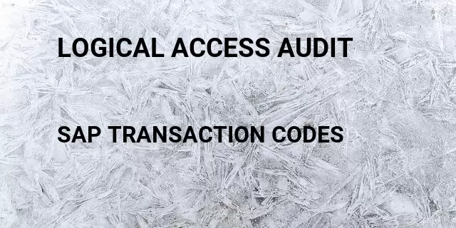 Logical access audit Tcode in SAP