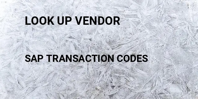 Look up vendor Tcode in SAP