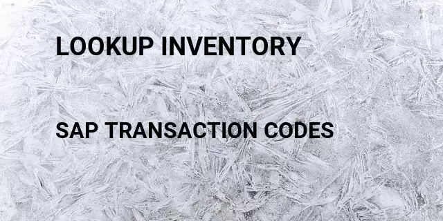 Lookup inventory Tcode in SAP