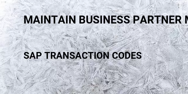 Maintain business partner master data Tcode in SAP