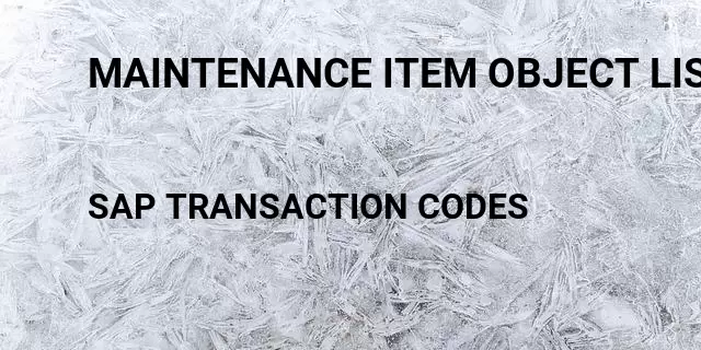 Maintenance item object list items Tcode in SAP