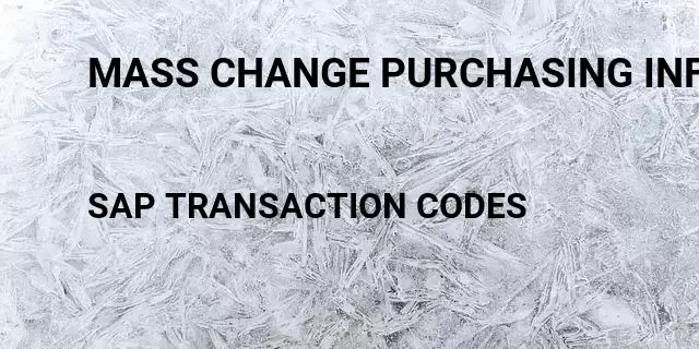 Mass change purchasing info record Tcode in SAP