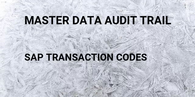 Master data audit trail Tcode in SAP