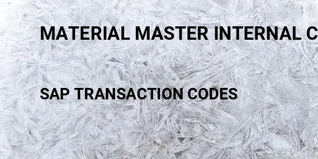 Material master internal comment Tcode in SAP