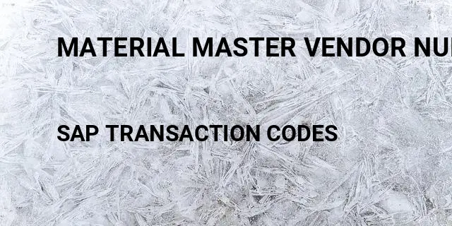 Material master vendor number Tcode in SAP