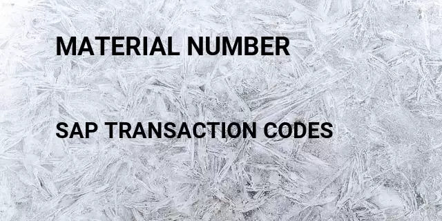 Material number Tcode in SAP