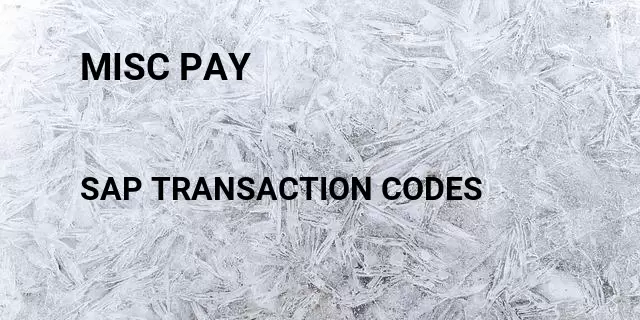 Misc pay Tcode in SAP