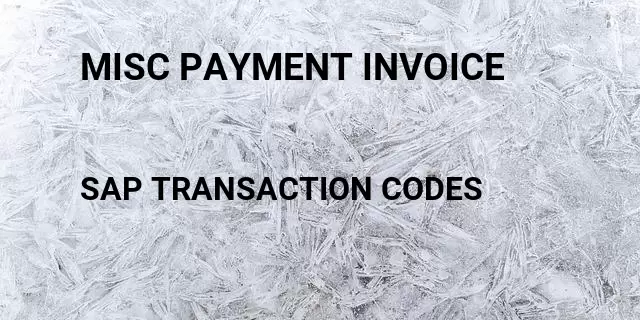 Misc payment invoice Tcode in SAP