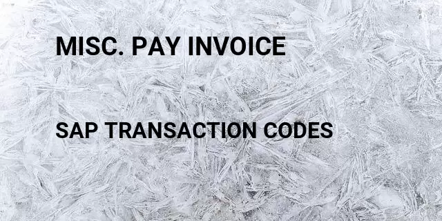 Misc. pay invoice Tcode in SAP