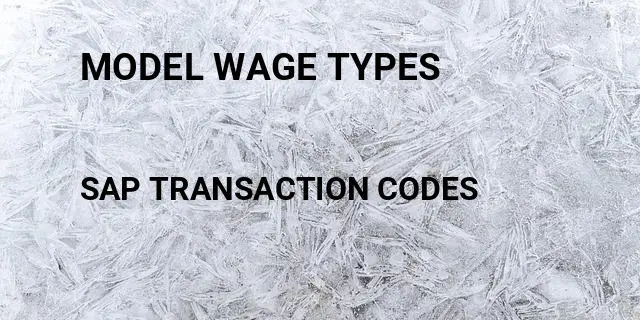 Model wage types Tcode in SAP