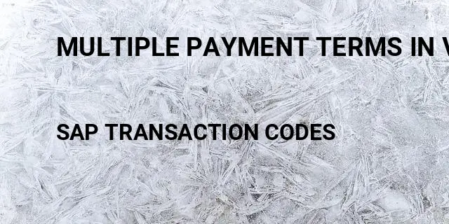 Multiple payment terms in vendor master sap Tcode in SAP