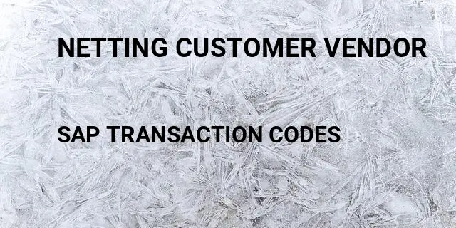 Netting customer vendor Tcode in SAP