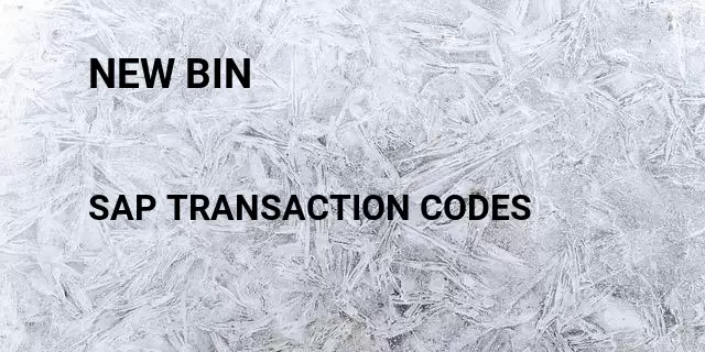New bin Tcode in SAP