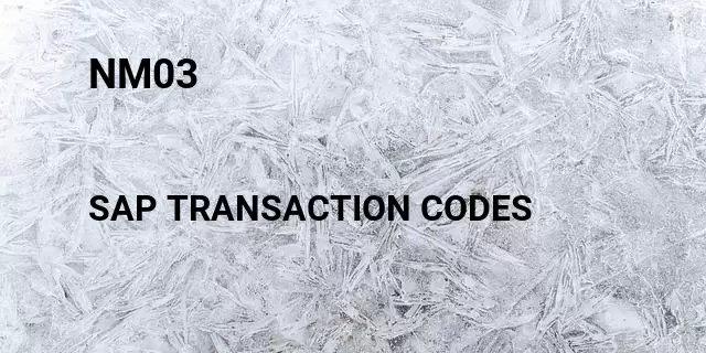 Nm03 Tcode in SAP