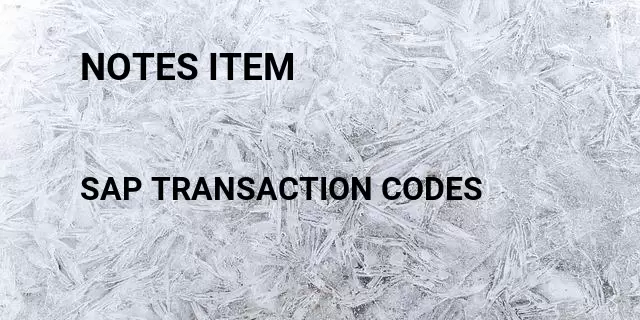 Notes item Tcode in SAP