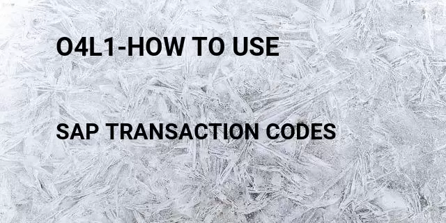 O4l1-how to use Tcode in SAP