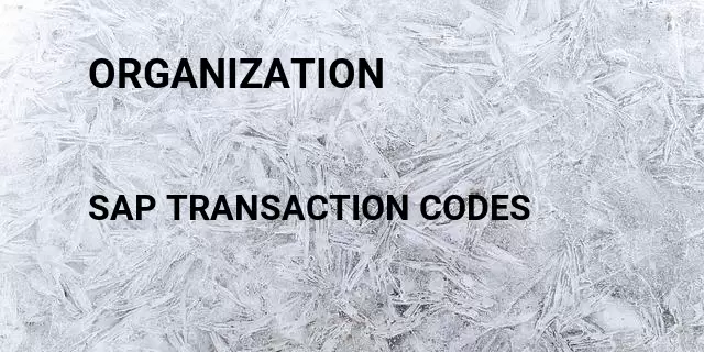 Organization Tcode in SAP