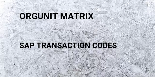 Orgunit matrix Tcode in SAP
