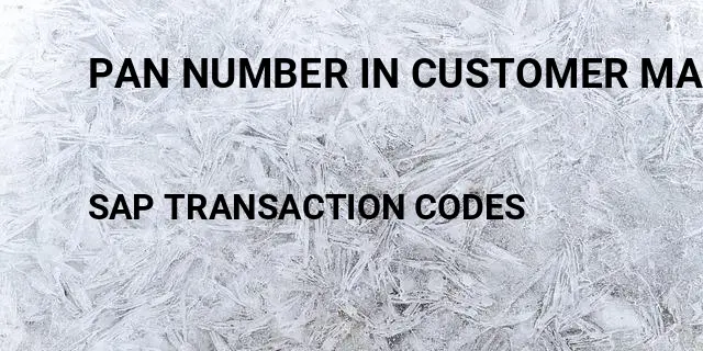 Pan number in customer master sap Tcode in SAP