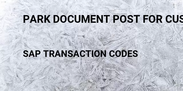 Park document post for customer Tcode in SAP
