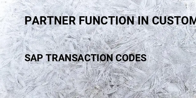 Partner function in customer master Tcode in SAP