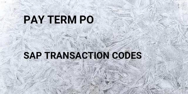 Pay term po Tcode in SAP