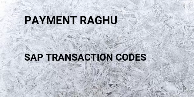 Payment raghu Tcode in SAP