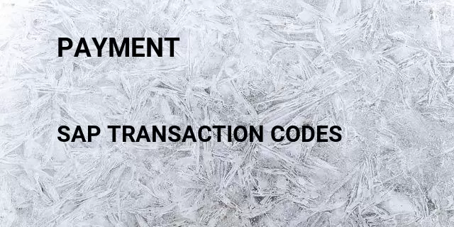 Payment Tcode in SAP