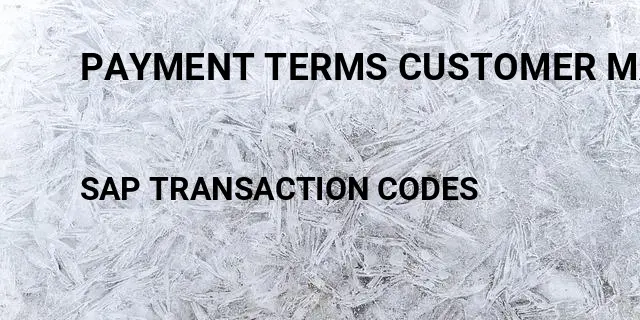 Payment terms customer master Tcode in SAP
