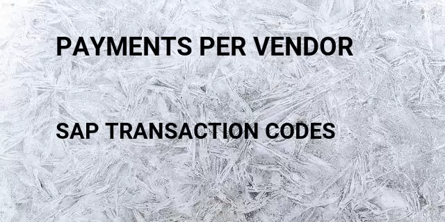 Payments per vendor Tcode in SAP