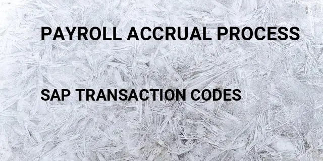 Payroll accrual process Tcode in SAP