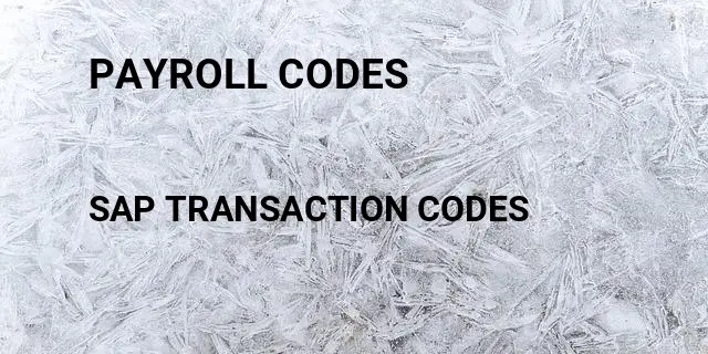 Payroll codes Tcode in SAP