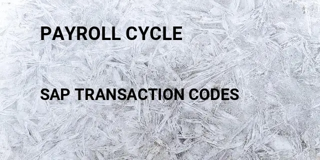 Payroll cycle Tcode in SAP