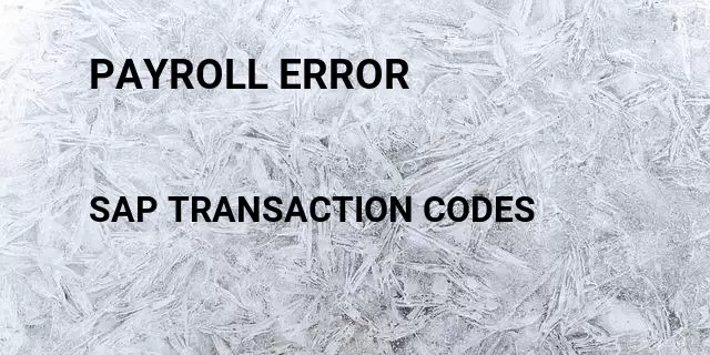 Payroll error Tcode in SAP