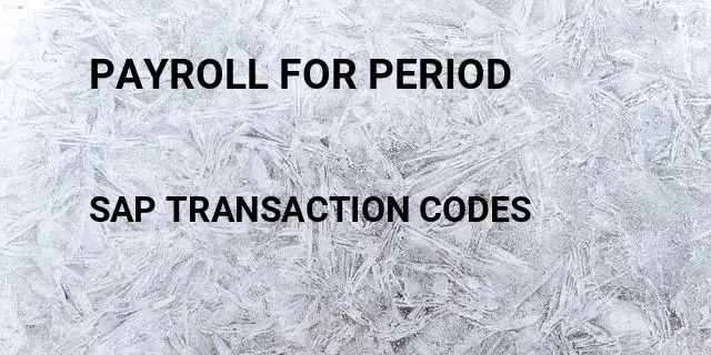 Payroll for period Tcode in SAP