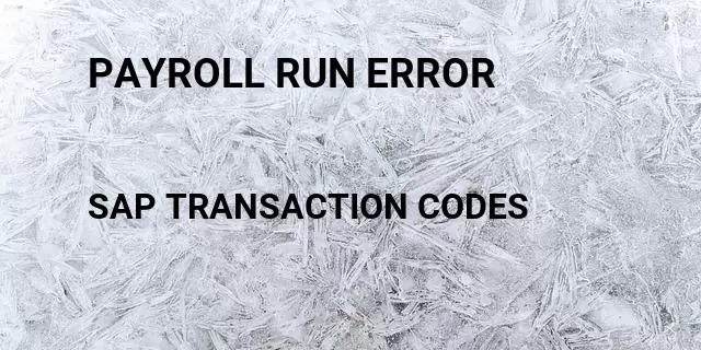 Payroll run error  Tcode in SAP