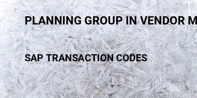Planning group in vendor master Tcode in SAP
