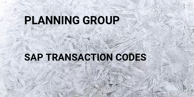 Planning group Tcode in SAP