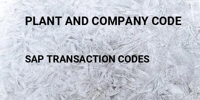 Plant and company code Tcode in SAP