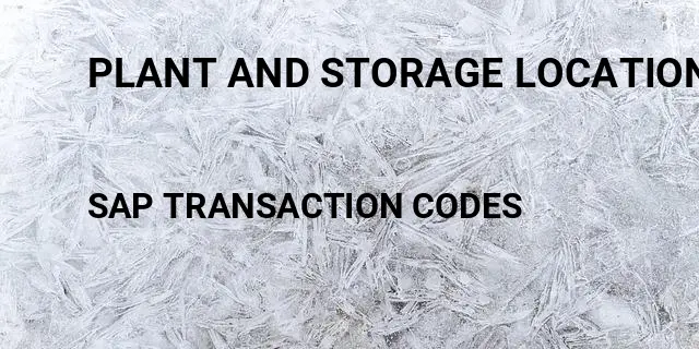 Plant and storage location Tcode in SAP