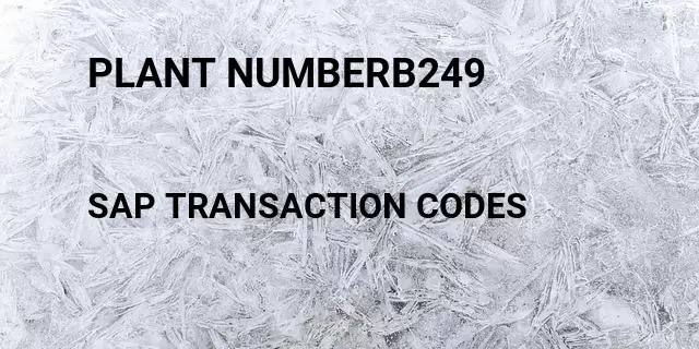 Plant numberb249 Tcode in SAP