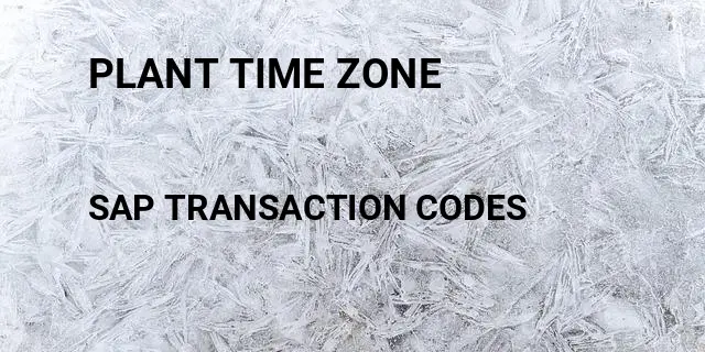 Plant time zone Tcode in SAP