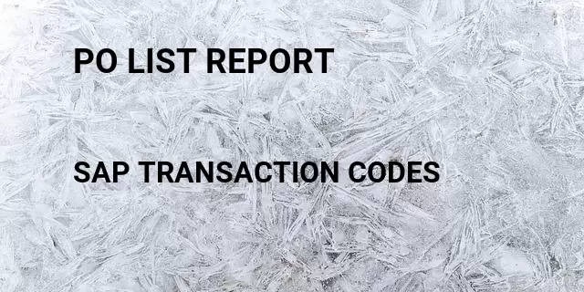 Po list report Tcode in SAP