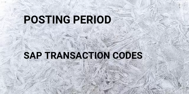 Posting period Tcode in SAP