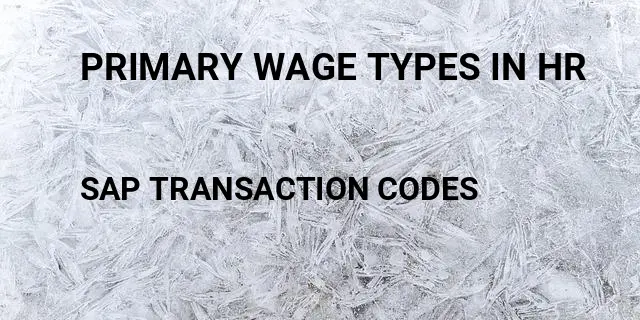 Primary wage types in hr Tcode in SAP